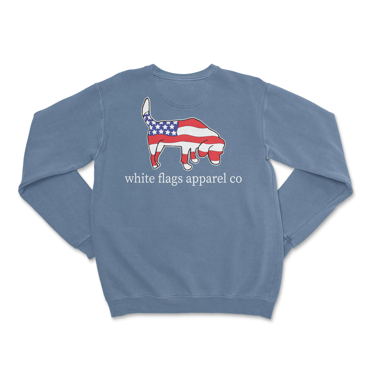 Soft Pastel Crewneck - American Flag