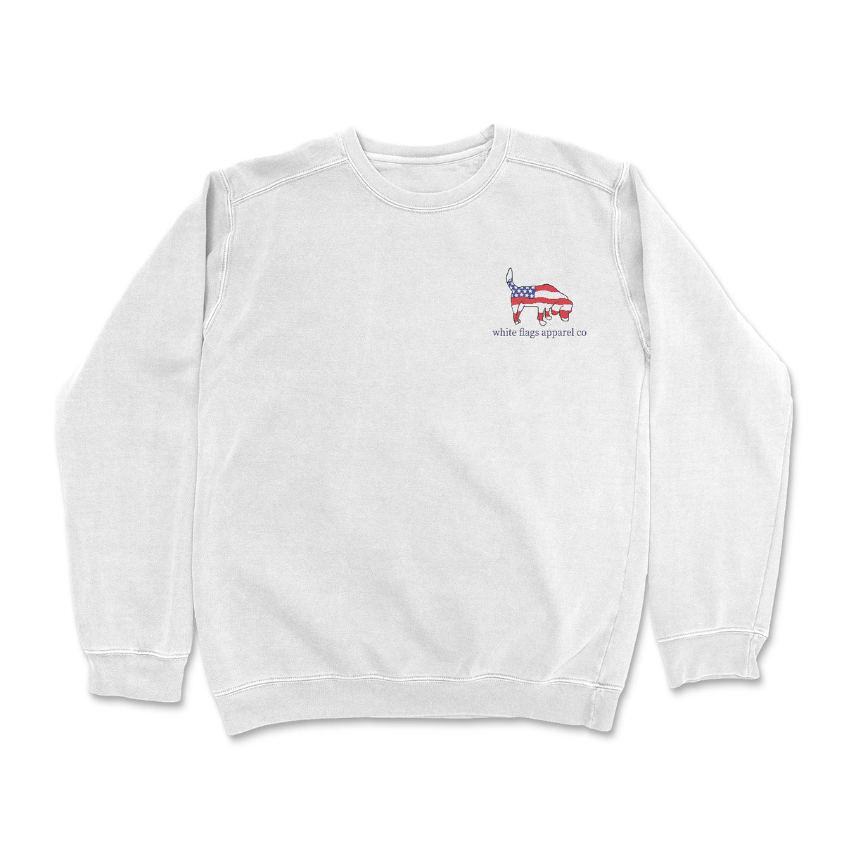 Soft Pastel Crewneck - American Flag