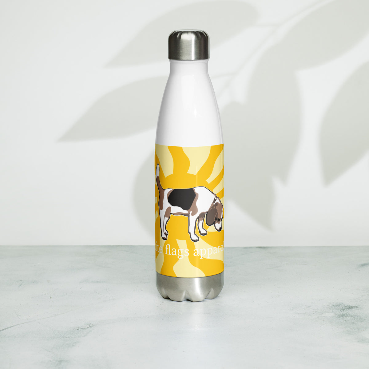 Stainless Steel Water Bottle - Sunrise